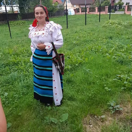 Casa Roxana Case de vacanță Viseu de Mijloc