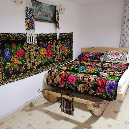 Casa Roxana 度假居 Viseu de Mijloc