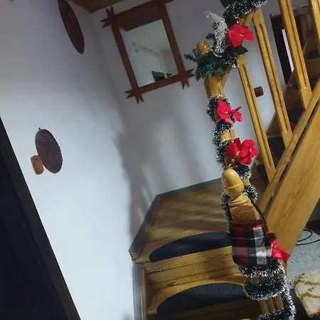 Casa Roxana 度假居 Viseu de Mijloc