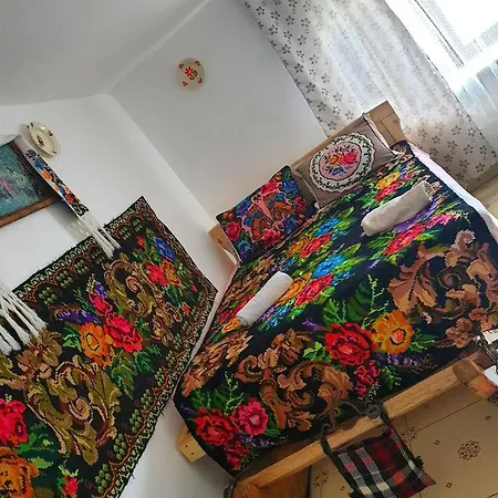 度假居 Casa Roxana Viseu de Mijloc