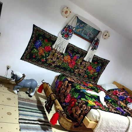 Casa Roxana *