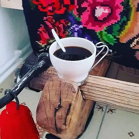 Case de vacanță Casa Roxana *