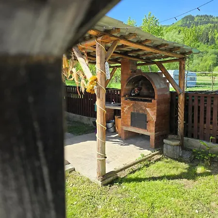 Casa Roxana 度假居 Viseu de Mijloc