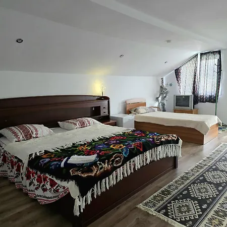 Casa Roxana * Viseu de Mijloc