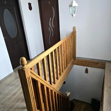 Casa Roxana 度假居 Viseu de Mijloc