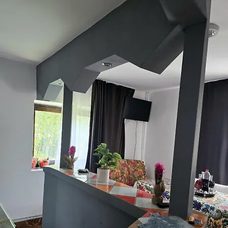 Casa Roxana Viseu de Mijloc